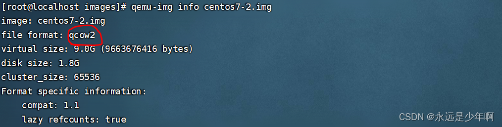 2022-11-24_53702.png