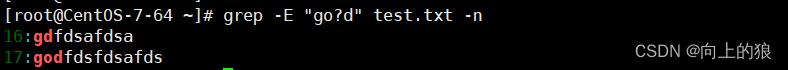 grep17.png