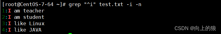 grep4.png